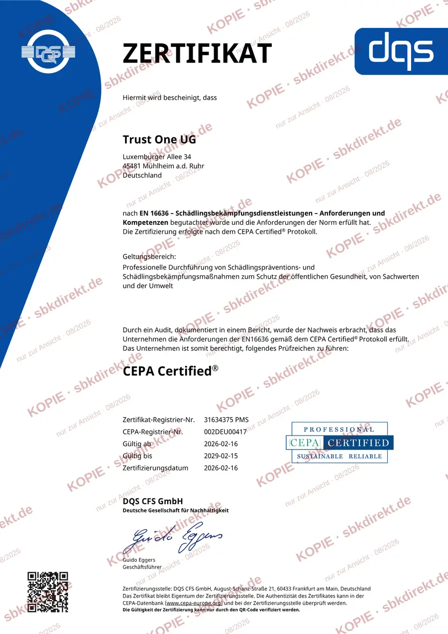 DQS-Zertifikat EN 16636 / CEPA Certified der Schädlingsbekämpfung Direkt GmbH (Urkunde auf die frühere Firmierung Trust One UG) — Ansicht mit Wasserzeichen